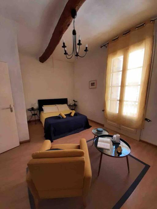 Historic French Townhouse Villa Saint-Thibery Bagian luar foto