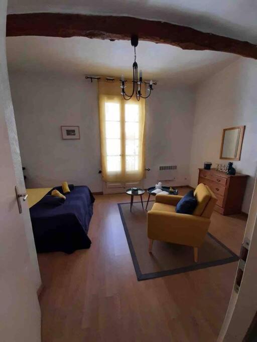 Historic French Townhouse Villa Saint-Thibery Bagian luar foto